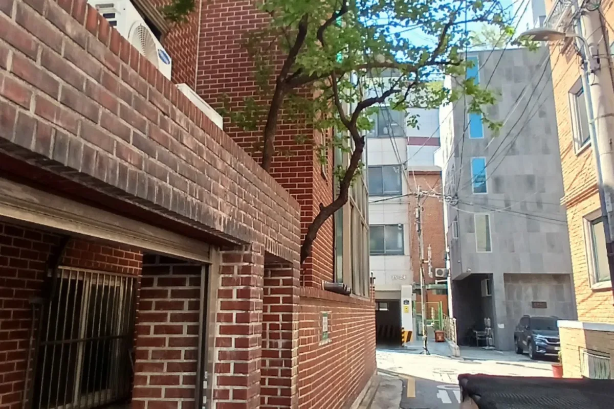 서울 관악구, 다세대주택 전선인접 나무제거